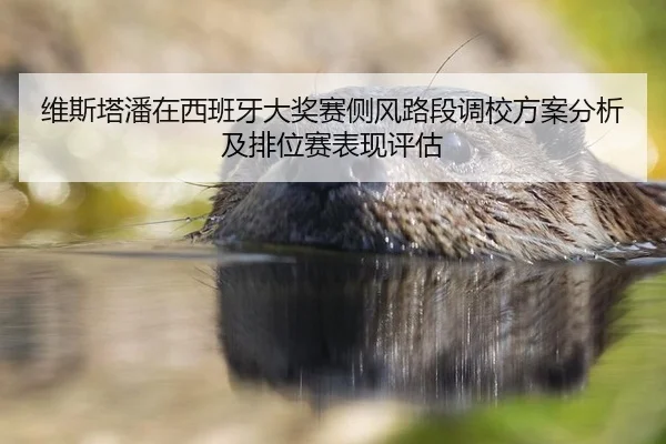 维斯塔潘在西班牙大奖赛侧风路段调校方案分析及排位赛表现评估